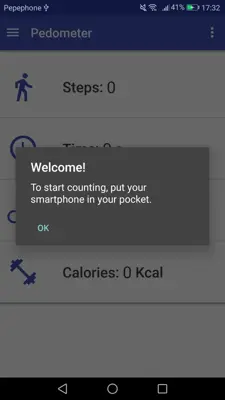 Pedometer android App screenshot 2